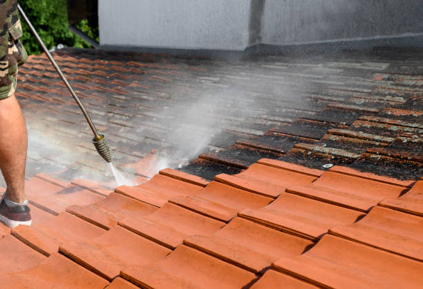 Best Power Washing Near Me  in Hibbing, MN