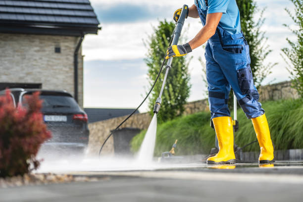 Best Roof Pressure Washing  in Hibbing, MN