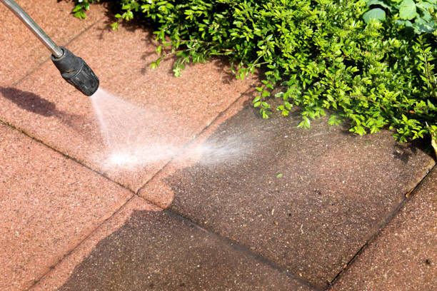 Best Residential Pressure Washing Services  in Hibbing, MN